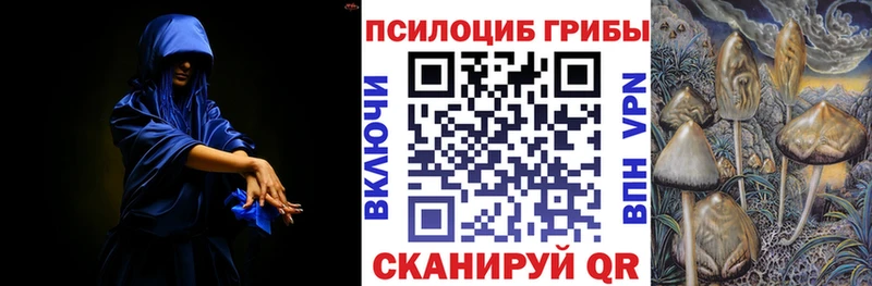 Псилоцибиновые грибы GOLDEN TEACHER  Кувшиново 