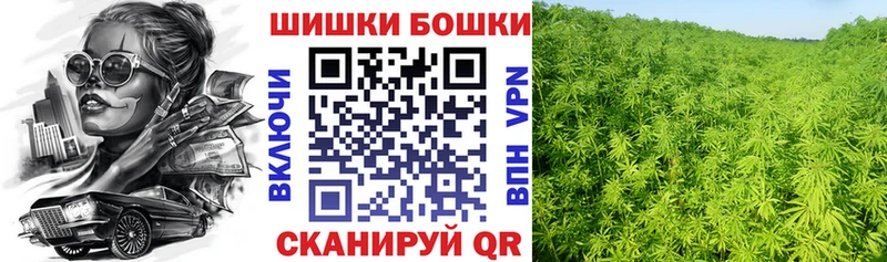 наркотики  Кувшиново  блэк спрут зеркало  Каннабис гибрид 