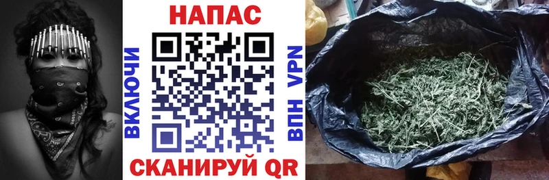 Марихуана Amnesia Кувшиново